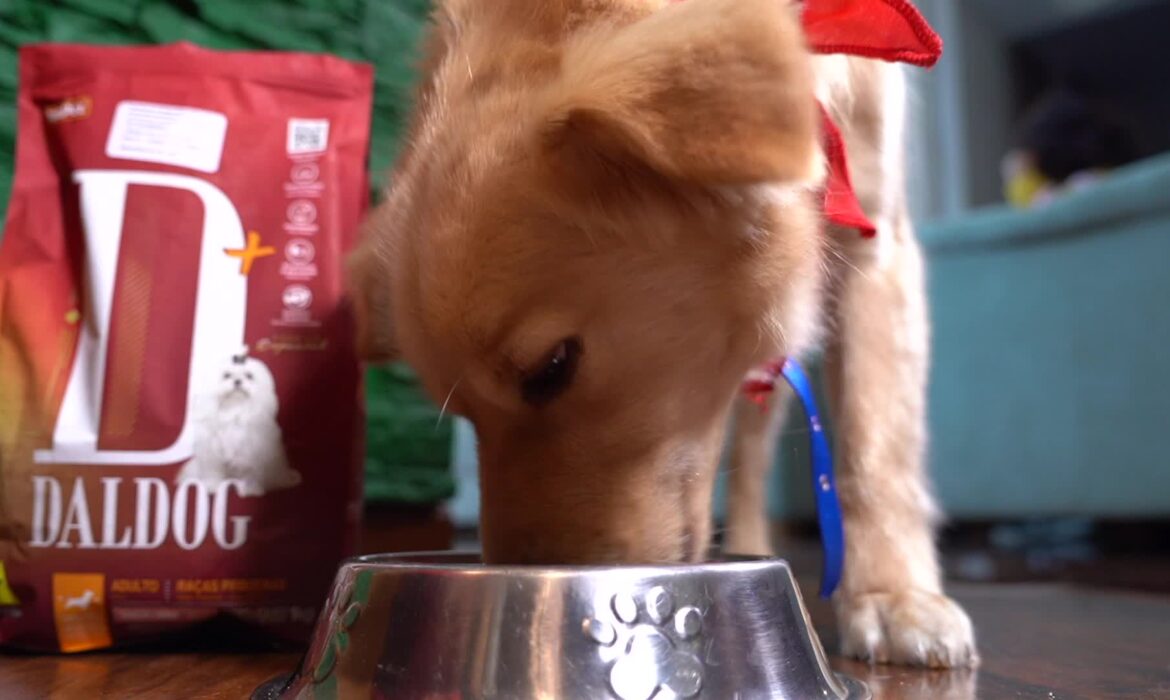 Dalpet Colombia